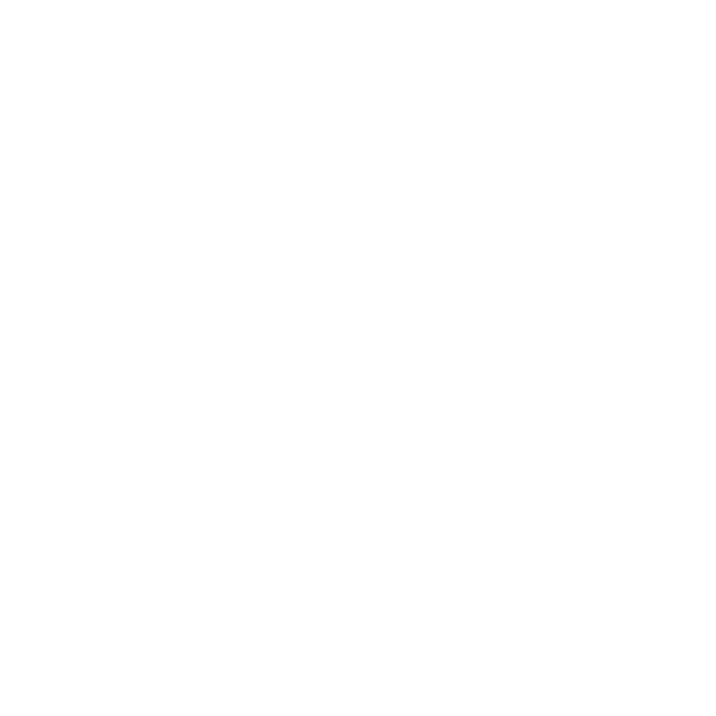 Liste des entreprises clients en 2025 (ANCY White)